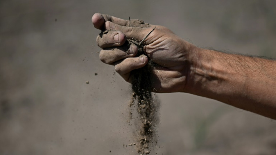 Global food system emissions imperil Paris climate goals