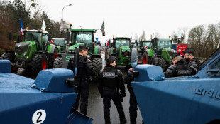 Francia anuncia nuevas medidas para desactivar crecientes protestas agrarias en la UE