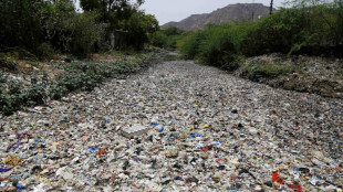 Traité sur la pollution plastique: Paris craint un parasitage par la géopolitique