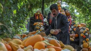 En Irak, l'agriculteur kurde qui met les réseaux sociaux au vert