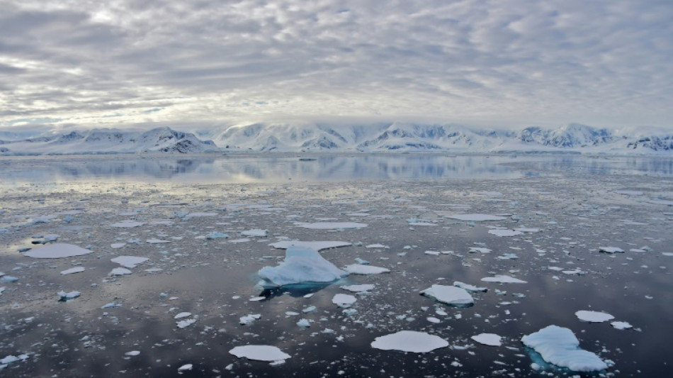 Antarctique: un immense iceberg se détache de la banquise