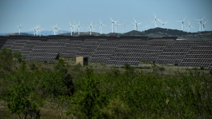 Las energías eólica y solar generaron el 12% de la electricidad mundial en 2022