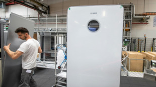 Germany's new big hope against warming - heat pumps