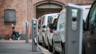 Electric cars overtake petrol models in Norway