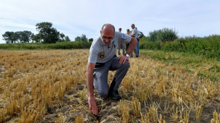 Driest July in memory imperils Europe's crops