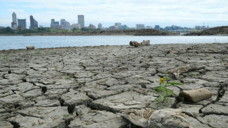 Hottest October on record as 2023 on track to be warmest year in history