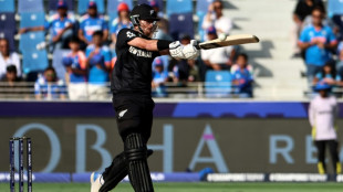 New Zealand captain Santner proud despite loss in final