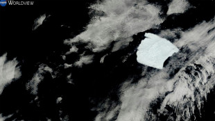 Un fragmento de 19 km de largo se desprende del iceberg más grande del mundo