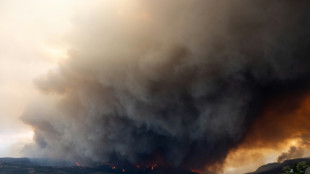 Meta wegen Nachrichten-Sperre inmitten der Waldbrände in Kanada in der Kritik