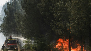 Lundi, pic brûlant d'une canicule qui gagne les confins de la Bretagne