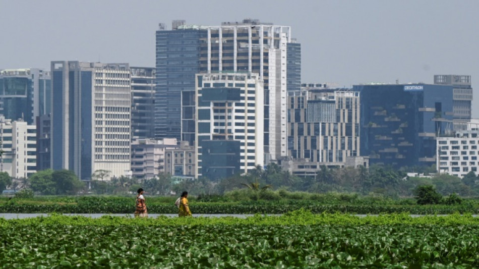 The 'kidneys of Kolkata': Indian wetlands under threat