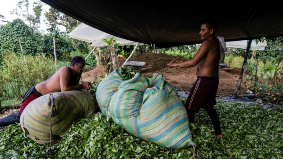 Mercado da cocaína está em crise na Colômbia