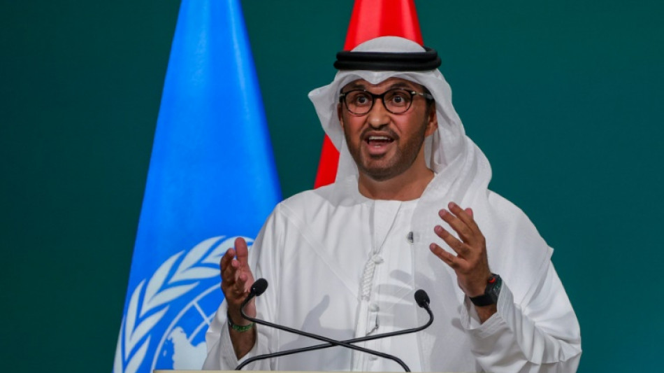 UAE COP28 chief says fossil fuels must be part of climate deal