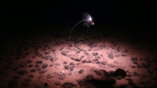 The battle over mining mineral-rich deep sea 'nodules'