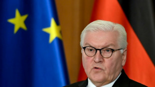 Steinmeier für Einführung eines Pflichtdiensts für alle jungen Menschen