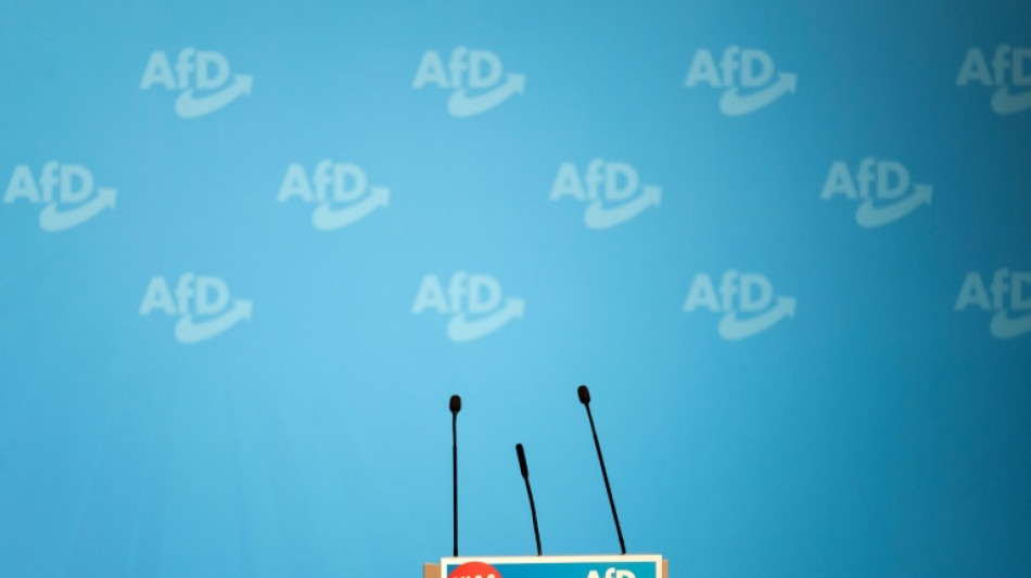 Neue Pläne für AfD-Verbotsverfahren stoßen auf geteiltes Echo