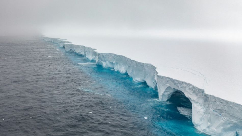 "Ce serait dramatique mais pas sans précédent": le plus grand iceberg au monde menace des manchots 