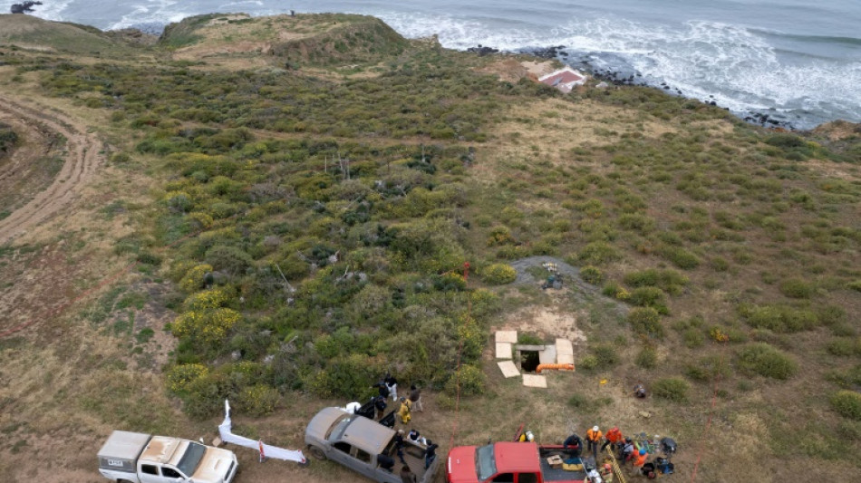 Bodies found in Mexico likely those of missing surfers: authorities