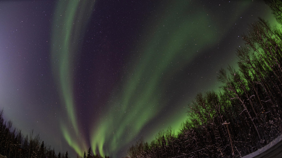 Usa vogliono aprire a trivellazione milioni di ettari in Alaska