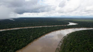 Disparus en Amazonie: confusion dans l'attente de résultats d'expertise