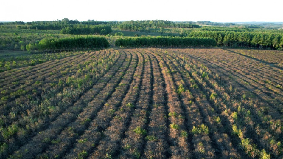 Climat: l'alimentation "doit être mise sur la table", plaide une experte