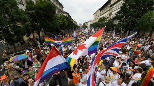 UNO "zutiefst besorgt" über Gesetz zum Verbot von Pride Parade in Ungarn