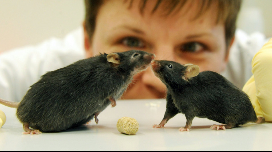 Per mangiare bastano tre tipi di neuroni