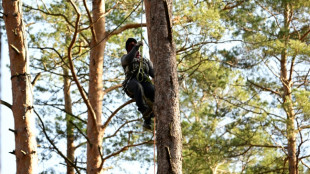 Activists occupy German forest to block Tesla expansion