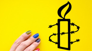 Amnesty International fordert Stopp deutscher Waffenlieferungen nach Israel