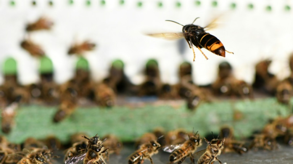 Lancement d'un plan national contre les espèces exotiques envahissantes