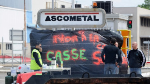 Ascometal: décision le 8 juillet sur la seule offre de reprise restante