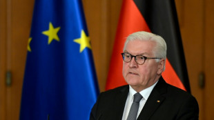 Steinmeier besucht deutsche Soldaten in Litauen