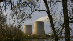 Sûreté nucléaire: l'Elysée relance la fusion contestée de deux institutions