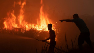 Indonésie: des incendies de tourbières provoquent des fermetures d'écoles 