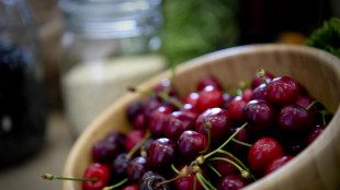 Con gelate frutta a rischio rincari, più colpite le ciliegie