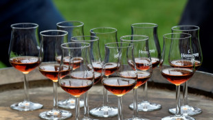 Cognac on the rocks: industry seeks French govt help from Chinese tariffs