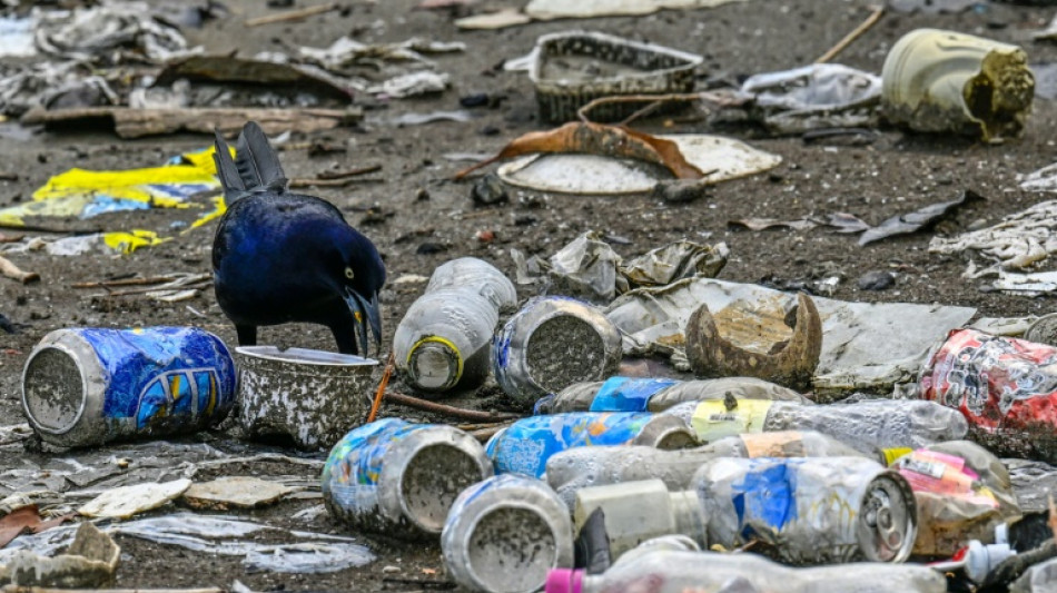 Nuevas negociaciones en París para un tratado contra la contaminación plástica