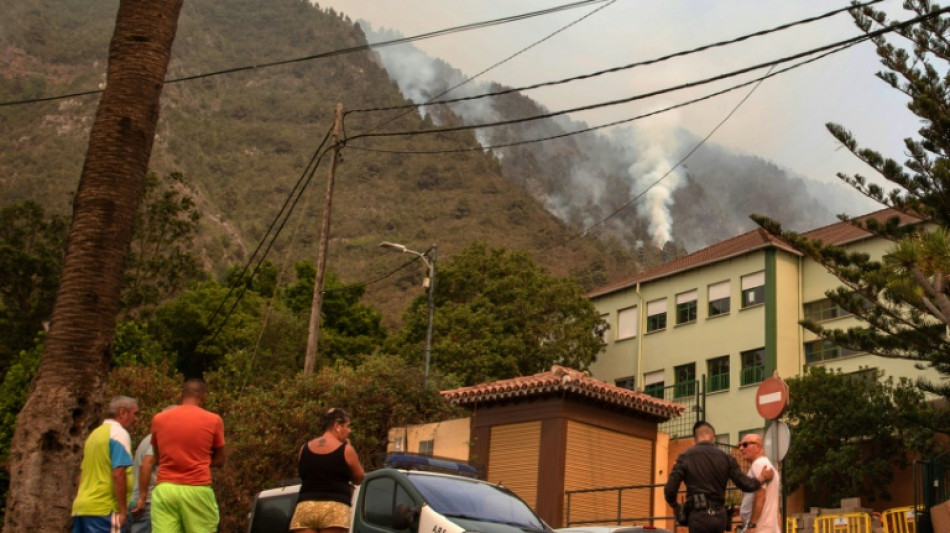 Incendie aux Canaries: les pompiers ont pu protéger des maisons durant la nuit