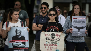 Anti-whaling activist Watson says Greenland arrest 'political'