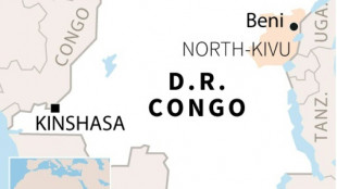 Rebels kill seven and target health centres in east DR Congo