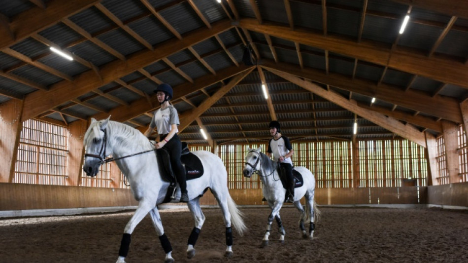 Gericht: Verletzung bei Schnupperstunde in Reitverein ist kein Arbeitsunfall