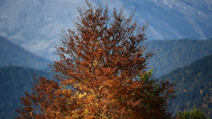 Una estación de esquí en los Alpes franceses cierra definitivamente a causa del cambio climático