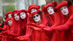 Thousands rally outside UK parliament in biodiversity protest