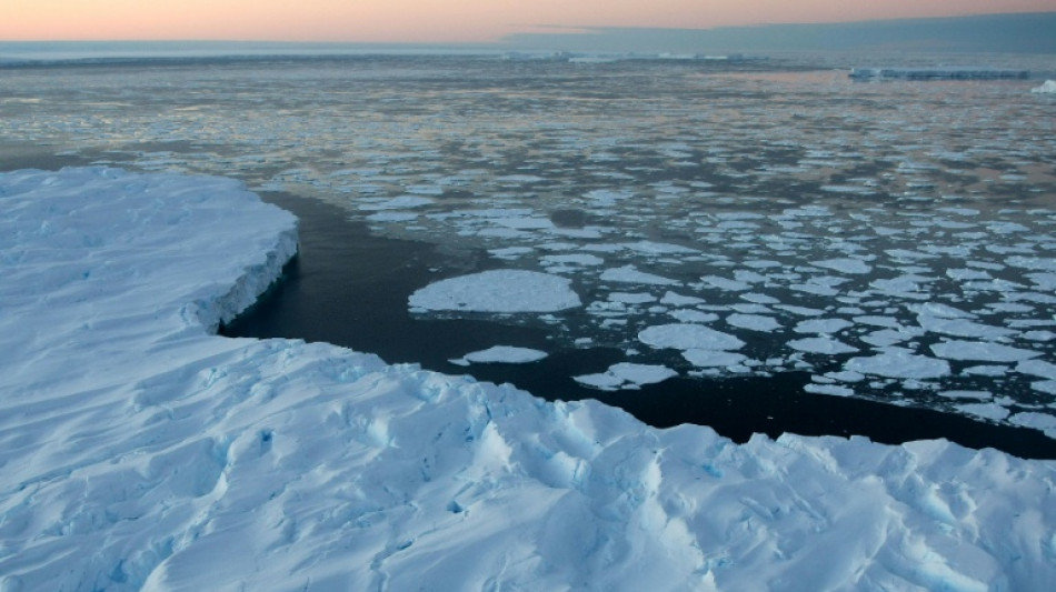 La cobertura de hielo marino global, en un mínimo histórico en febrero, según Copernicus