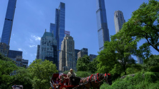 End of the road for New York's horse-drawn carriages?