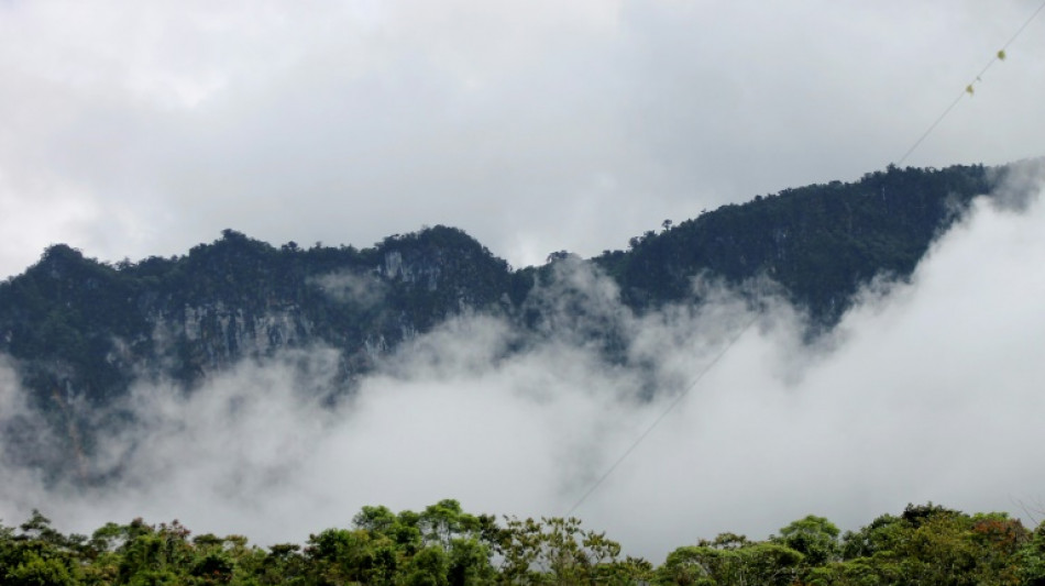 Papua New Guinea PM vows to return to UN climate talks