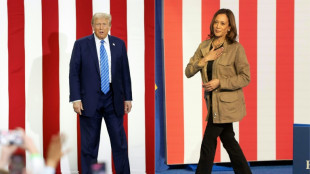 Deux semaines pour convaincre: Trump et Harris au pas de charge