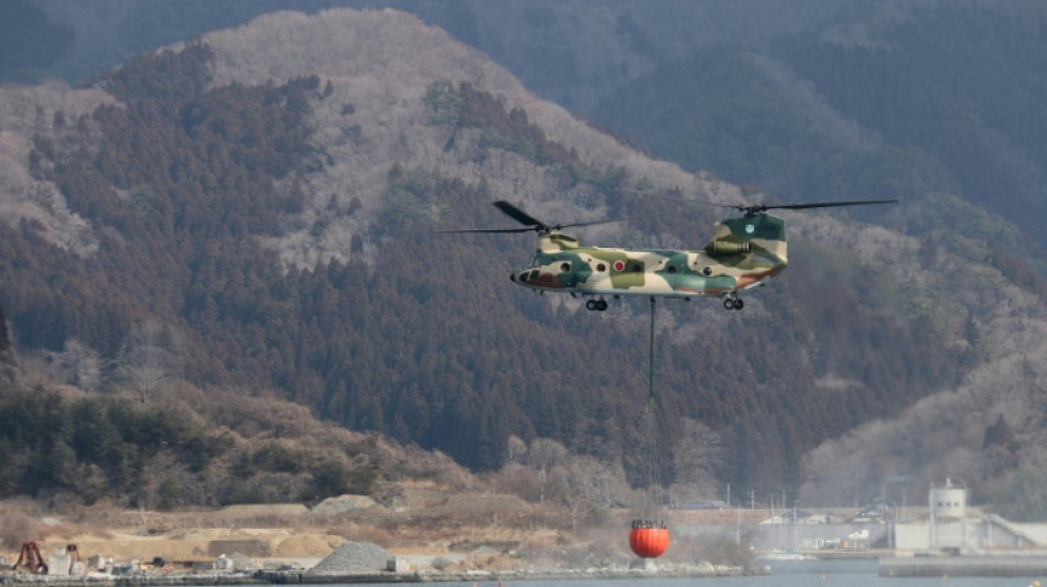 Japón enfrenta su peor incendio forestal en medio siglo