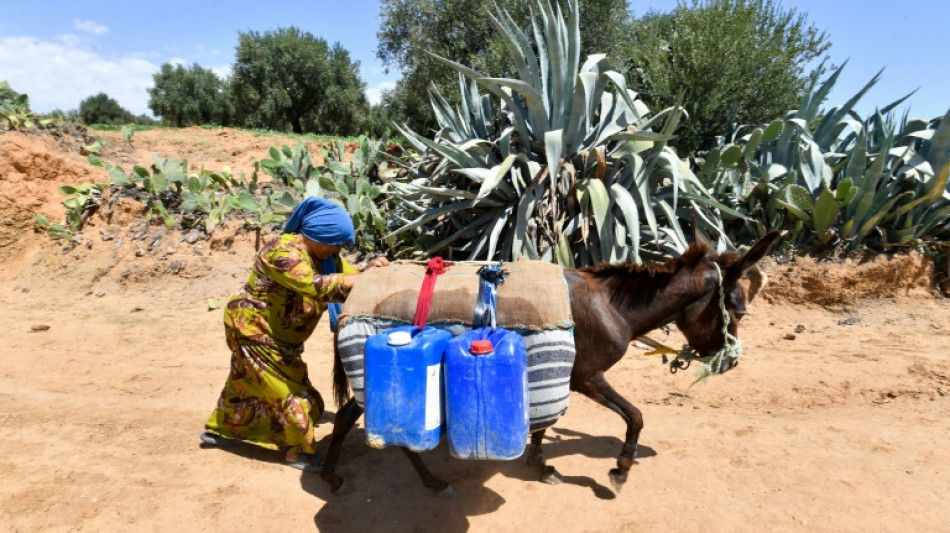 Tunisie: dans l'arrière-pays, un village en quête d'eau