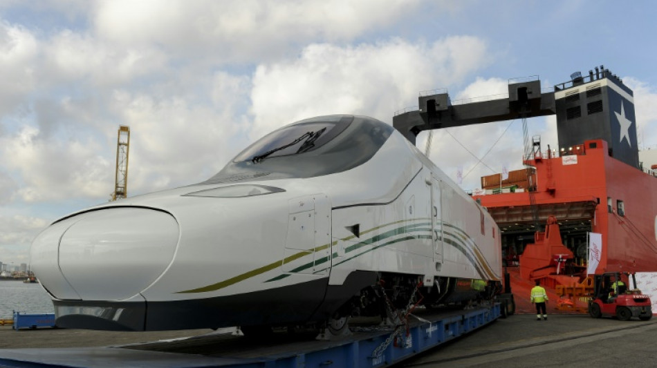 La OPA húngara sobre el fabricante de trenes español Talgo preocupa al gobierno español